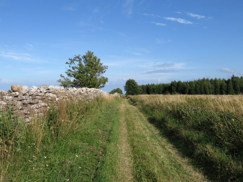 20050803_150.jpg