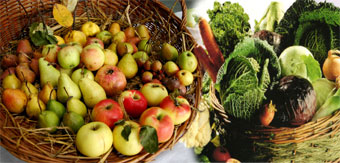 frutta-e-verdura-web-28k.jpg